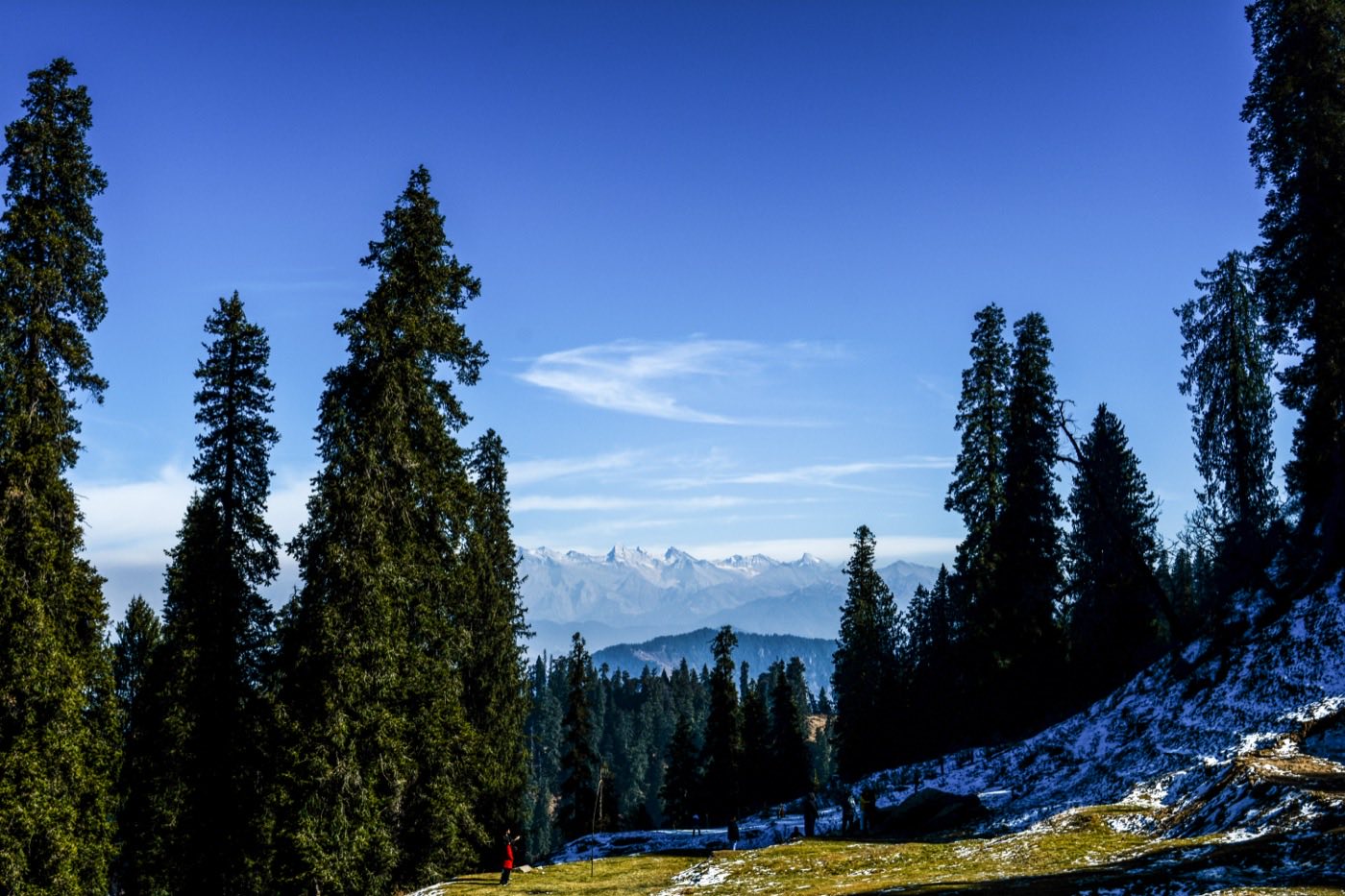 Deodar House PG — Around Summer Hill, photo 4 of 7