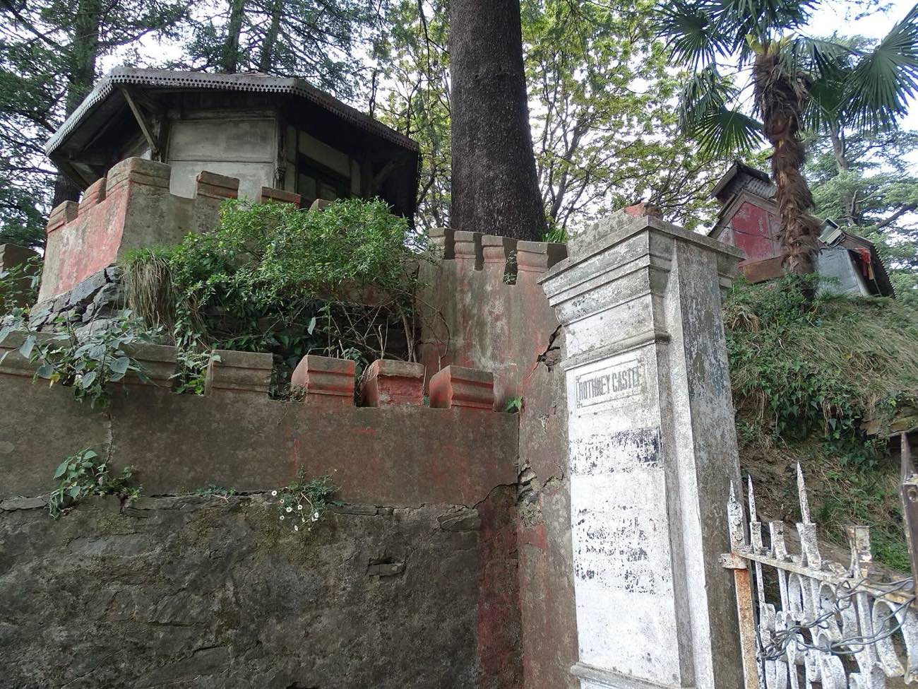 Deodar House PG
